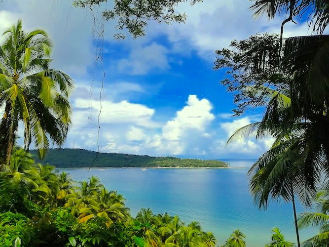 Day 02: Port Blair - Ross Island - North Bay - Port Blair